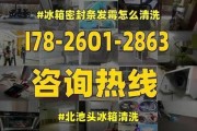 如何正确清洗冰箱（保持食品安全与延长冰箱使用寿命）