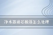 解决净水器滤芯加不进水问题的有效方法（怎样应对净水器滤芯无法正常加水的情况）