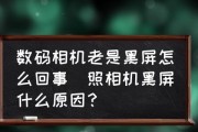 电视机黑屏后的故障排除与解决方法（解决电视机黑屏问题的实用技巧）