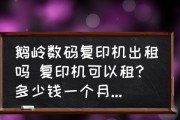 复印机无法通电的原因及解决方法（电源线故障导致复印机无法正常通电）