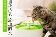 如何有效防止猫饮水机发霉（探索猫饮水机发霉的原因以及解决方案）