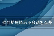 燃气壁挂炉开机故障原因及解决方法（了解燃气壁挂炉开机故障原因）