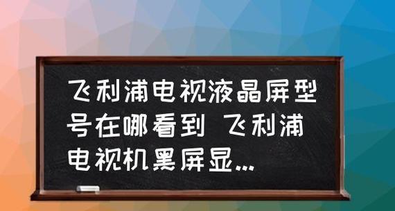 电视机出现黑屏的原因及解决办法（深入了解电视机黑屏现象）