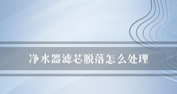 解决净水器滤芯加不进水问题的有效方法（怎样应对净水器滤芯无法正常加水的情况）